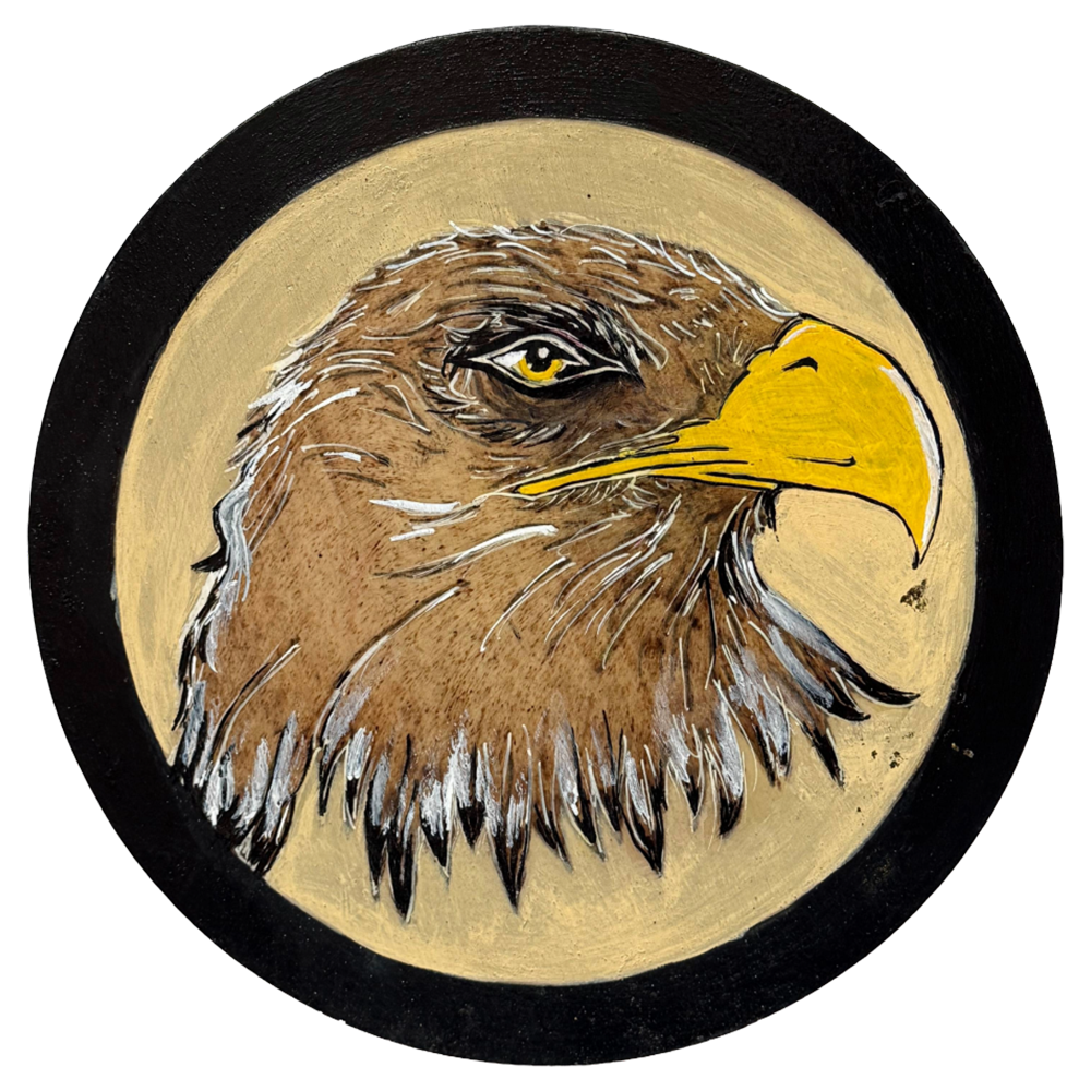 Wood Burning & Oil Painting - Eagle